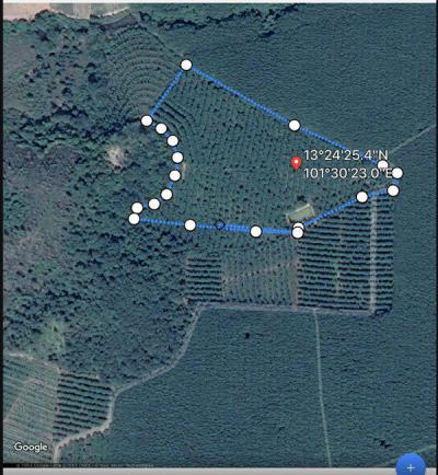 ที่ดิน 3000000 ชลบุรี กิ่งอำเภอเกาะจันทร์ เกาะจันทร์