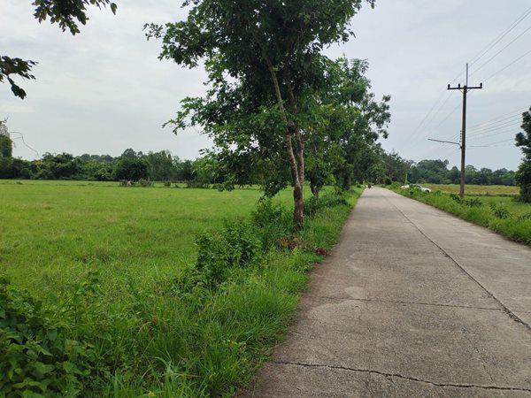 ที่ดิน 1200000 นครนายก บ้านนา ป่าขะ ที่ดิน 1200000 นครนายก บ้านนา ป่าขะ