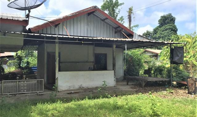 บ้านเดี่ยว 2554000 นครพนม เมืองนครพนม บ้านผึ้ง บ้านเดี่ยว 2554000 นครพนม เมืองนครพนม บ้านผึ้ง