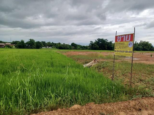 ที่ดิน 3450000 พิษณุโลก เมืองพิษณุโลก ท่าโพธิ์ ที่ดิน 3450000 พิษณุโลก เมืองพิษณุโลก ท่าโพธิ์