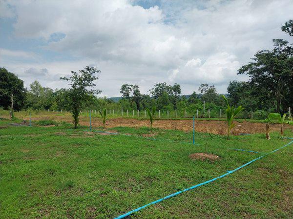 ที่ดิน 150000 หนองบัวลำภู เมืองหนองบัวลำภู นามะเฟือง ที่ดิน 150000 หนองบัวลำภู เมืองหนองบัวลำภู นามะเฟือง