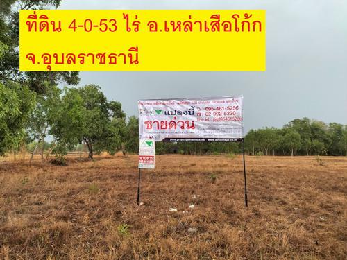 ที่ดิน 1500000 อุบลราชธานี กิ่งอำเภอเหล่าเสือโก้ก เหล่าเสือโก้ก ที่ดิน 1500000 อุบลราชธานี กิ่งอำเภอเหล่าเสือโก้ก เหล่าเสือโก้ก