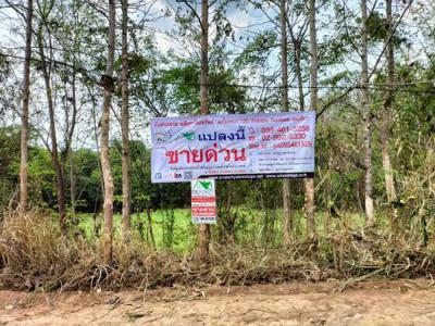 ที่ดิน 1400000 เพชรบูรณ์ เมืองเพชรบูรณ์ วังชมภู