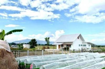 บ้านเดี่ยว 4900000 เชียงใหม่ แม่วาง บ้านกาด