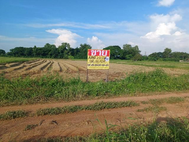 ที่ดิน 4455500 พิษณุโลก เมืองพิษณุโลก ท่าโพธิ์ ที่ดิน 4455500 พิษณุโลก เมืองพิษณุโลก ท่าโพธิ์