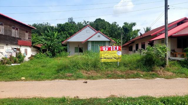 บ้านเดี่ยว 1900000 หนองคาย กิ่งอำเภอรัตนวาปี รัตนวาปี บ้านเดี่ยว 1900000 หนองคาย กิ่งอำเภอรัตนวาปี รัตนวาปี