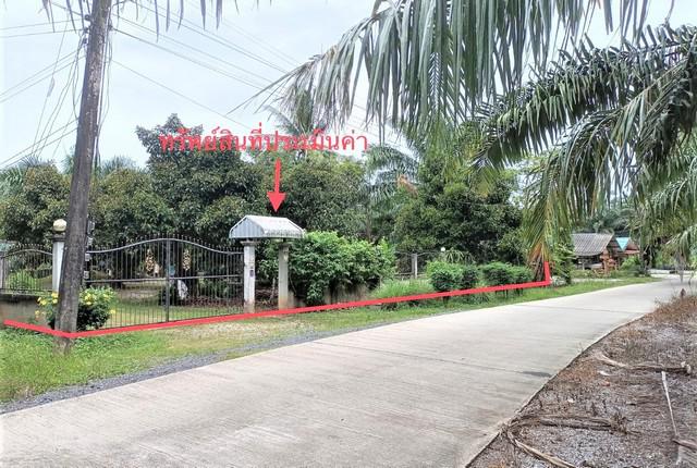 บ้านเดี่ยว 3020000 สุราษฎร์ธานี ดอนสัก ไชยคราม บ้านเดี่ยว 3020000 สุราษฎร์ธานี ดอนสัก ไชยคราม