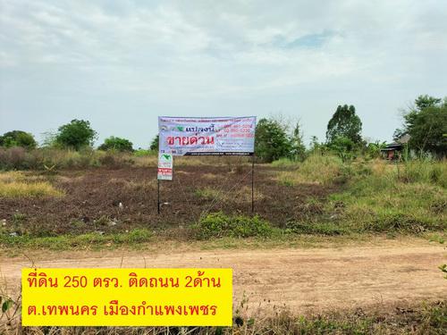 ที่ดิน 1300000 กำแพงเพชร เมืองกำแพงเพชร เทพนคร ที่ดิน 1300000 กำแพงเพชร เมืองกำแพงเพชร เทพนคร