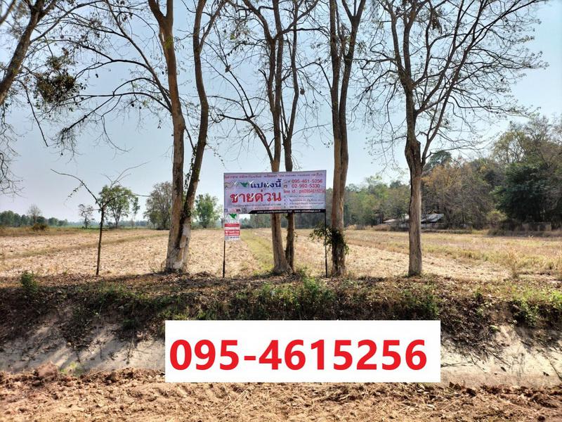 ที่ดิน 1900000 หนองคาย ศรีเชียงใหม่ พานพร้าว ที่ดิน 1900000 หนองคาย ศรีเชียงใหม่ พานพร้าว