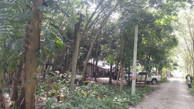 ที่ดิน 1500000 ระยอง บ้านค่าย หนองบัว ที่ดิน 1500000 ระยอง บ้านค่าย หนองบัว