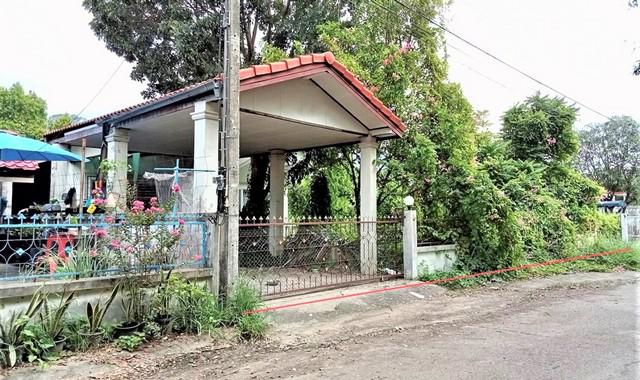 บ้านเดี่ยว 2817000 สุรินทร์ เมืองสุรินทร์ ท่าสว่าง บ้านเดี่ยว 2817000 สุรินทร์ เมืองสุรินทร์ ท่าสว่าง