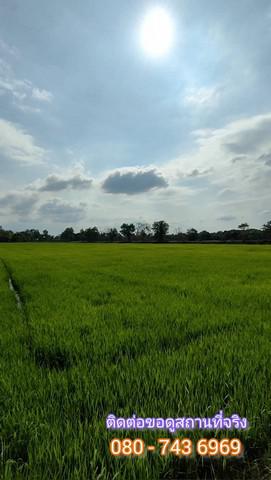 ที่ดิน 9000000 มหาสารคาม เมืองมหาสารคาม เกิ้ง ที่ดิน 9000000 มหาสารคาม เมืองมหาสารคาม เกิ้ง