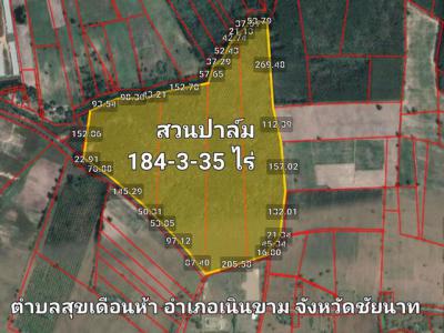 ที่ดิน 46209375 ชัยนาท กิ่งอำเภอเนินขาม สุขเดือนห้า