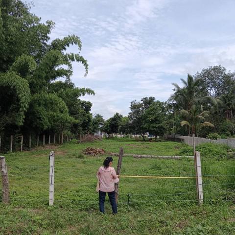 ที่ดิน 1100000 เชียงราย พาน สันมะเค็ด ที่ดิน 1100000 เชียงราย พาน สันมะเค็ด