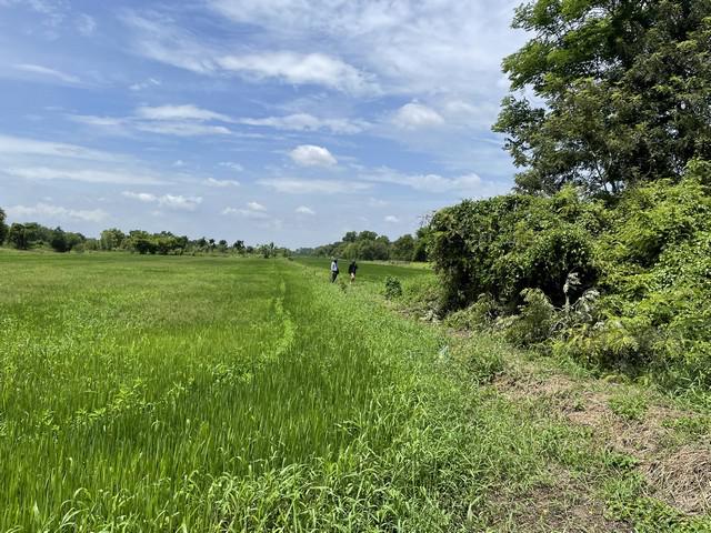 ที่ดิน 900000 สระบุรี หนองแค กุ่มหัก