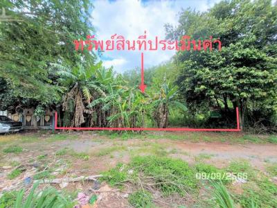 ที่ดิน 1440900 สุราษฎร์ธานี เมืองสุราษฎร์ธานี ขุนทะเล