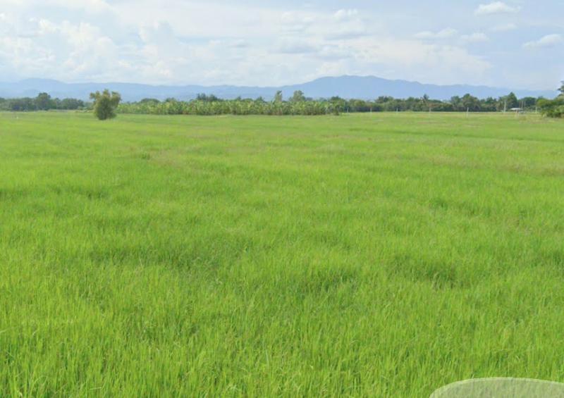 ที่ดิน 1200000 ลำพูน กิ่งอำเภอเวียงหนองล่อง หนองยวง ที่ดิน 1200000 ลำพูน กิ่งอำเภอเวียงหนองล่อง หนองยวง