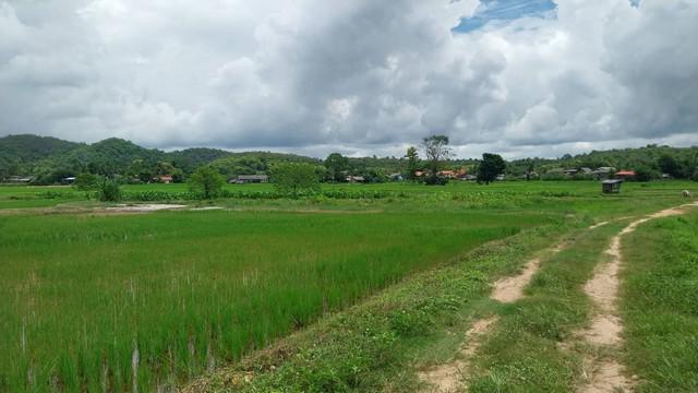 ที่ดิน 2000000 ลำปาง เมืองลำปาง เวียงเหนือ ที่ดิน 2000000 ลำปาง เมืองลำปาง เวียงเหนือ