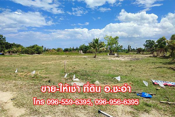 ที่ดิน 8000000 เพชรบุรี ชะอำ ชะอำ ที่ดิน 8000000 เพชรบุรี ชะอำ ชะอำ