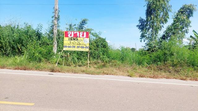 ที่ดิน 2500000 หนองคาย เมืองหนองคาย ปะโค ที่ดิน 2500000 หนองคาย เมืองหนองคาย ปะโค