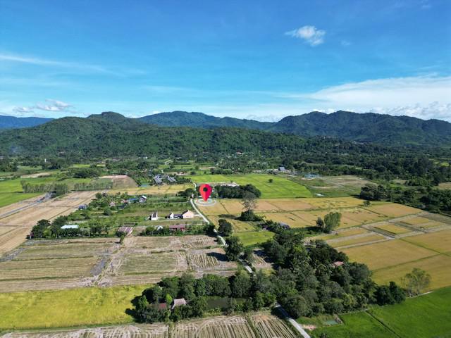 ที่ดิน 4500000 นครนายก บ้านนา เขาเพิ่ม ที่ดิน 4500000 นครนายก บ้านนา เขาเพิ่ม