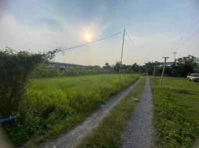 ที่ดิน 3500000 เชียงใหม่ สันกำแพง ต้นเปา