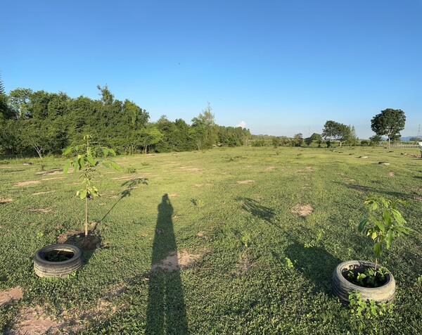 ที่ดิน 370000 เพชรบุรี ชะอำ ห้วยทรายเหนือ ที่ดิน 370000 เพชรบุรี ชะอำ ห้วยทรายเหนือ