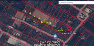 ที่ดิน 695200 ลำพูน บ้านธิ บ้านธิ