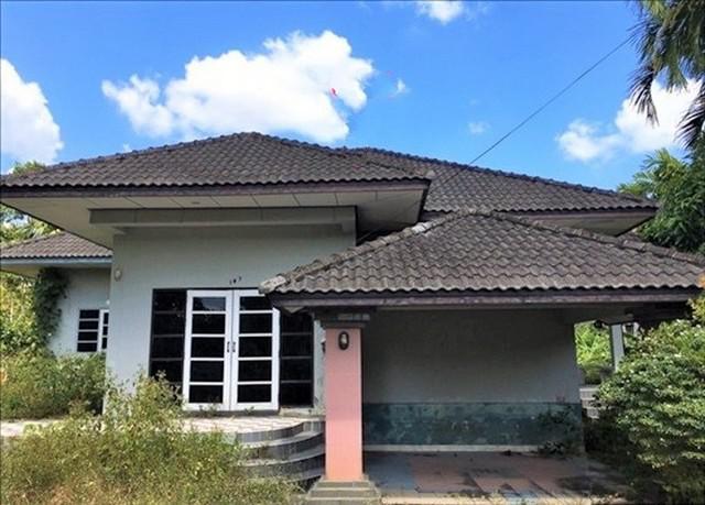 บ้านเดี่ยว 3851000 นครศรีธรรมราช ทุ่งสง ชะมาย บ้านเดี่ยว 3851000 นครศรีธรรมราช ทุ่งสง ชะมาย