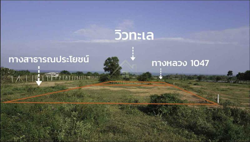 ที่ดิน 3800000 ประจวบคีรีขันธ์ เมืองประจวบคีรีขันธ์ อ่าวน้อย ที่ดิน 3800000 ประจวบคีรีขันธ์ เมืองประจวบคีรีขันธ์ อ่าวน้อย