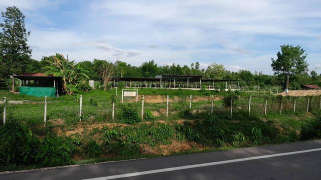 ที่ดิน 3500000 ลำปาง ห้างฉัตร เวียงตาล ที่ดิน 3500000 ลำปาง ห้างฉัตร เวียงตาล