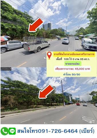 ที่ดิน 40000 นครศรีธรรมราช เมืองนครศรีธรรมราช มะม่วงสองต้น
