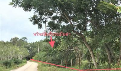 ที่ดิน 4276000 นครศรีธรรมราช ทุ่งสง เขาโร