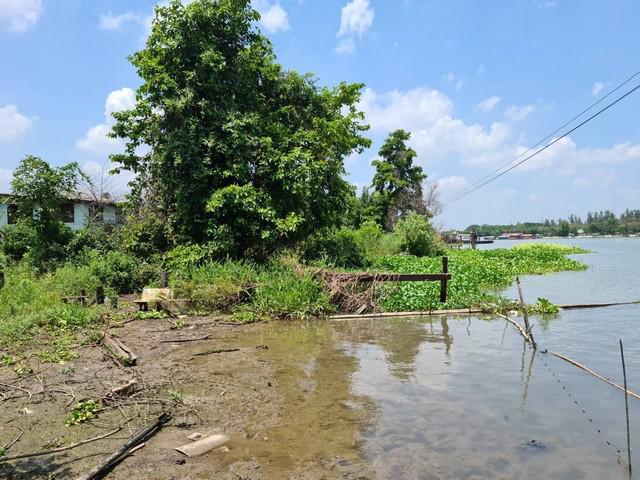 ที่ดิน 30000000 ปทุมธานี สามโคก บางกระบือ ที่ดิน 30000000 ปทุมธานี สามโคก บางกระบือ