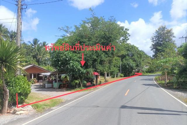 บ้านเดี่ยว 2613000 นครศรีธรรมราช ทุ่งสง เขาโร บ้านเดี่ยว 2613000 นครศรีธรรมราช ทุ่งสง เขาโร