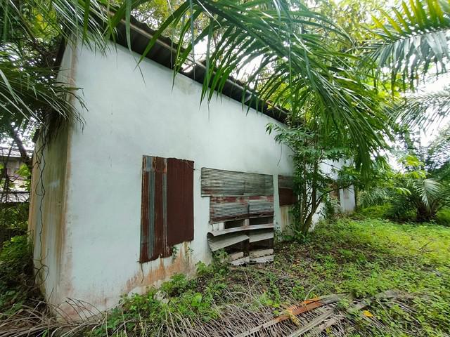 บ้านเดี่ยว 14823000 นครศรีธรรมราช ฉวาง จันดี บ้านเดี่ยว 14823000 นครศรีธรรมราช ฉวาง จันดี