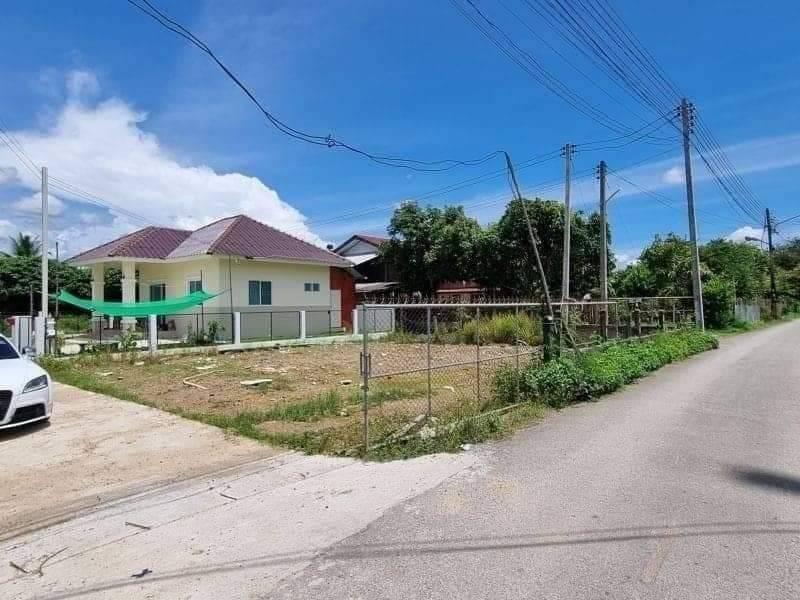 ที่ดิน 650000 เชียงใหม่ แม่ริม สันโป่ง ที่ดิน 650000 เชียงใหม่ แม่ริม สันโป่ง