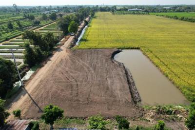 ที่ดิน 2800000 ปทุมธานี หนองเสือ นพรัตน์