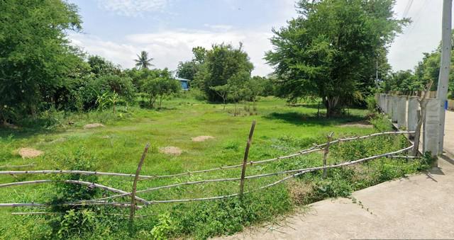 ที่ดิน 6500000 พิษณุโลก เมืองพิษณุโลก บึงพระ ที่ดิน 6500000 พิษณุโลก เมืองพิษณุโลก บึงพระ