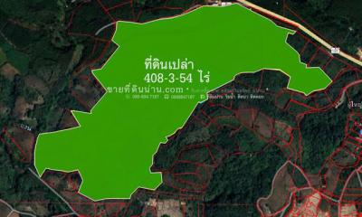 ที่ดิน 61332750 น่าน ทุ่งช้าง ปอน