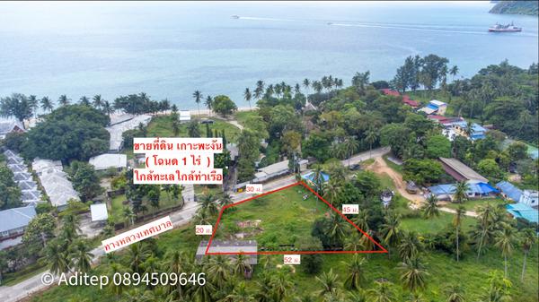 ที่ดิน 12000000 สุราษฎร์ธานี เกาะพะงัน เกาะพะงัน ที่ดิน 12000000 สุราษฎร์ธานี เกาะพะงัน เกาะพะงัน
