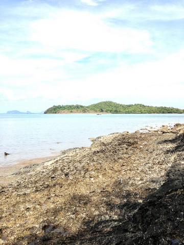 ที่ดิน 8000000 กระบี่ เกาะลันตา เกาะลันตาใหญ่ ที่ดิน 8000000 กระบี่ เกาะลันตา เกาะลันตาใหญ่