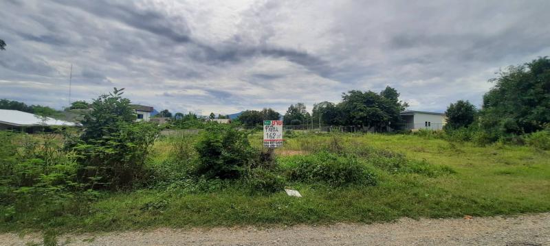 ที่ดิน 600000 เชียงใหม่ แม่วาง บ้านกาด ที่ดิน 600000 เชียงใหม่ แม่วาง บ้านกาด