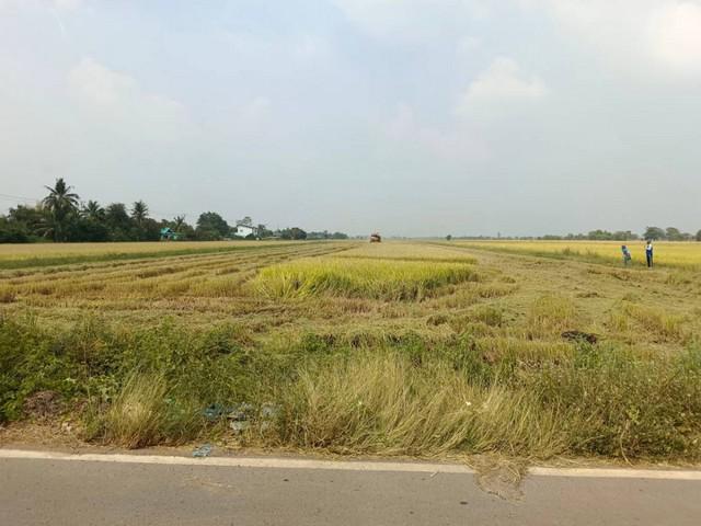 ที่ดิน 490000 ฉะเชิงเทรา บางน้ำเปรี้ยว ดอนเกาะกา ที่ดิน 490000 ฉะเชิงเทรา บางน้ำเปรี้ยว ดอนเกาะกา