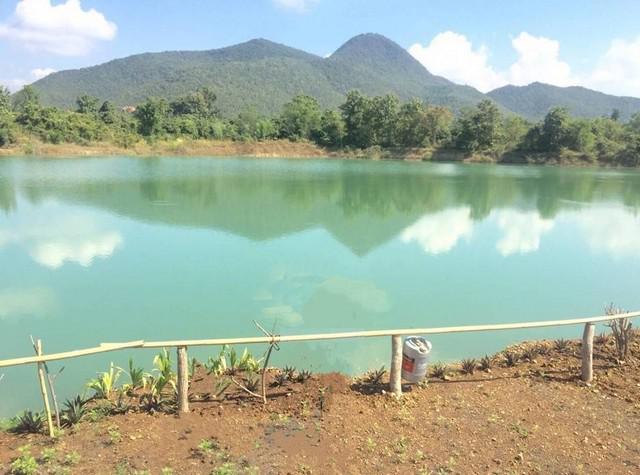 ที่ดิน 13800000 ลำพูน เมืองลำพูน มะเขือแจ้ ที่ดิน 13800000 ลำพูน เมืองลำพูน มะเขือแจ้