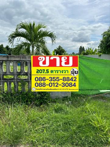ที่ดิน 790000 ชลบุรี พนัสนิคม หมอนนาง ที่ดิน 790000 ชลบุรี พนัสนิคม หมอนนาง