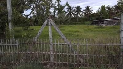 ที่ดิน 1500000 เชียงใหม่ สันป่าตอง ยุหว่า