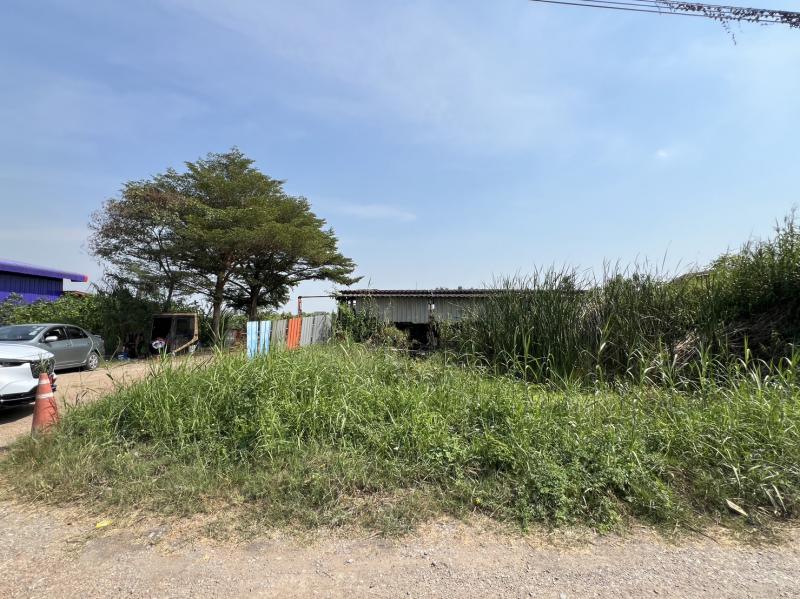 ที่ดิน 3900000 ปทุมธานี ลาดหลุมแก้ว ระแหง ที่ดิน 3900000 ปทุมธานี ลาดหลุมแก้ว ระแหง