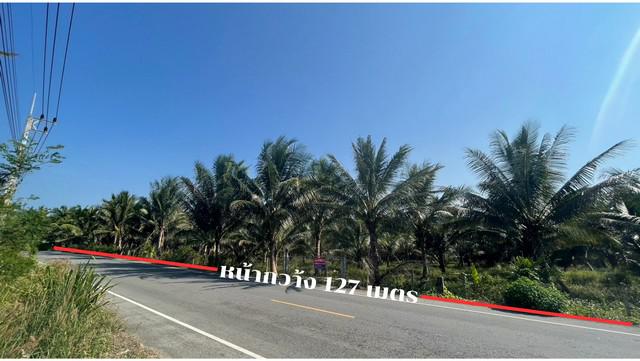 ที่ดิน 4100000 นครศรีธรรมราช ขนอม ควนทอง ที่ดิน 4100000 นครศรีธรรมราช ขนอม ควนทอง