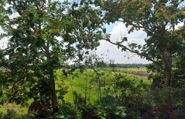 ที่ดิน 5000000 สุพรรณบุรี บางปลาม้า โคกคราม ที่ดิน 5000000 สุพรรณบุรี บางปลาม้า โคกคราม
